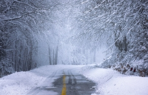 road, forest, snow
