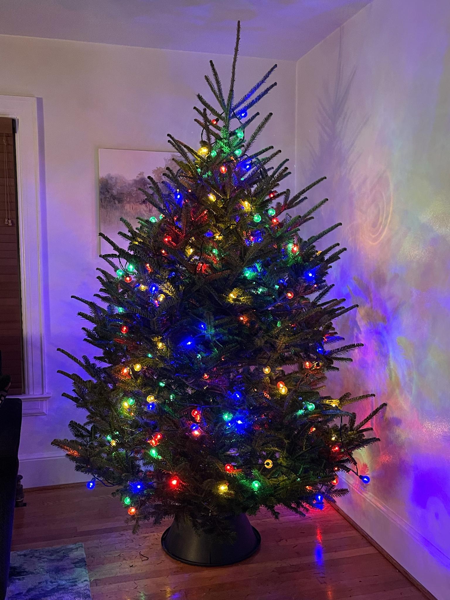 our first exact Christmas tree