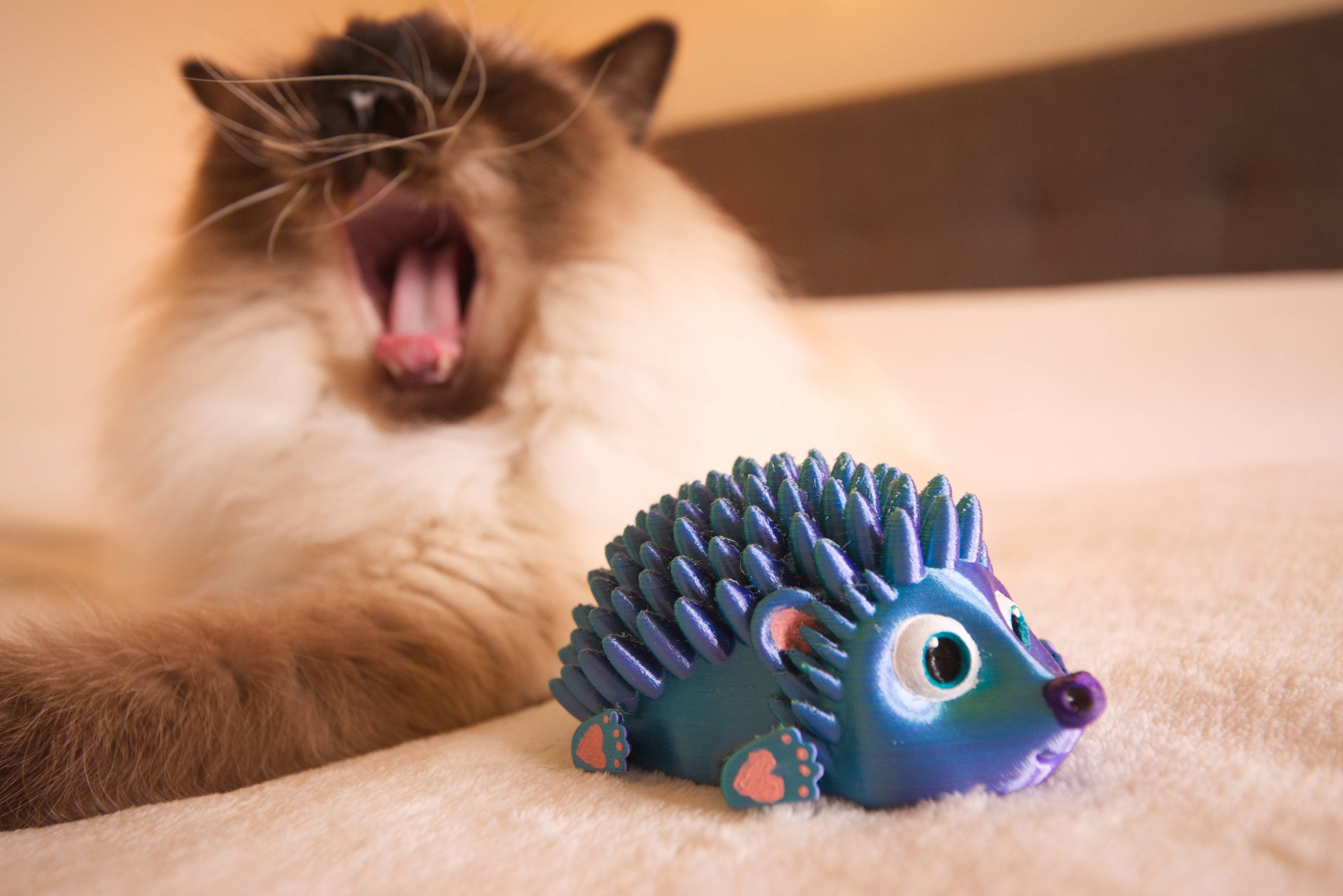 3D Printed Hedgehog with my cat, Snickers