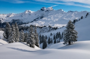 winter, hochybrig, pre-alps