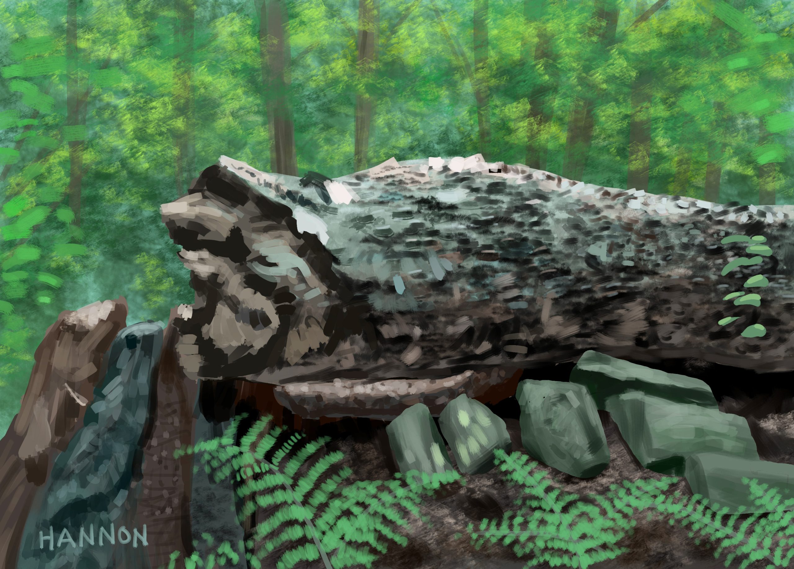 My digital painting of a fallen tree in Roosevelt Woodland