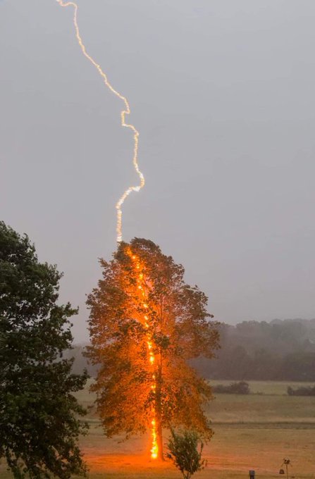 A lightning hit a tree in Moorefield, Hardy County, West Virginia on June 23, 2022.