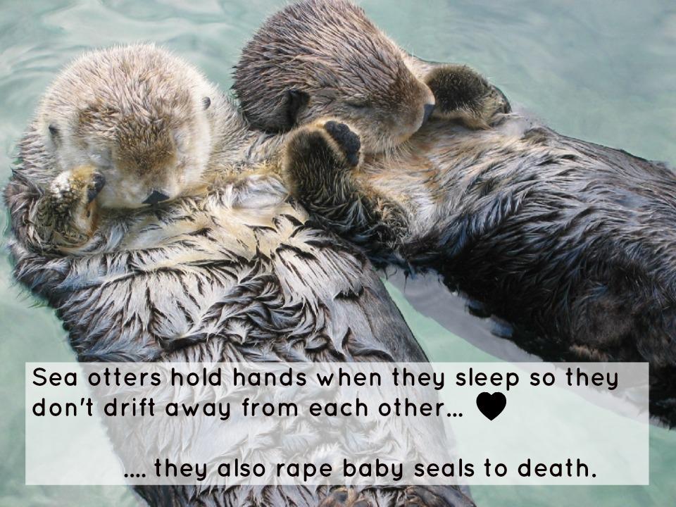 Otters are adorable