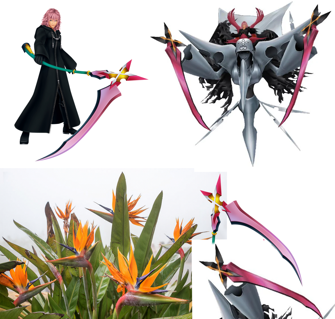 The “X” share of the scythes which will be on the Specter No one are orange instead of white adore they are on Marluxia’s scythe. I buy right here is to higher resemble the Strelitzia flower.