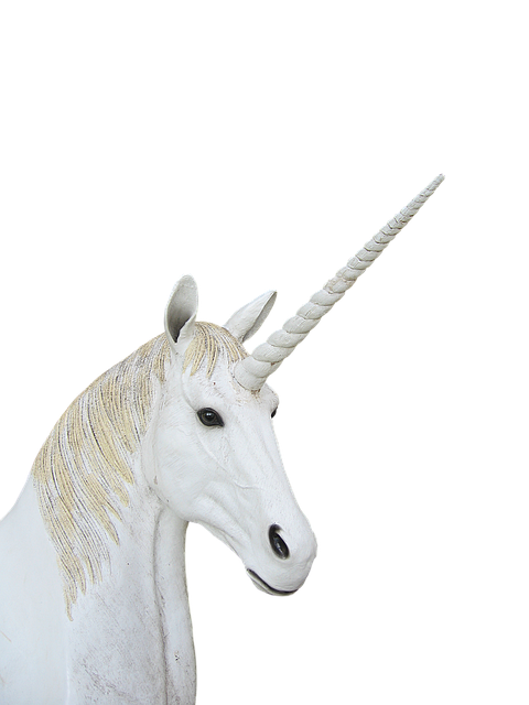 png, unicorn, animal magic