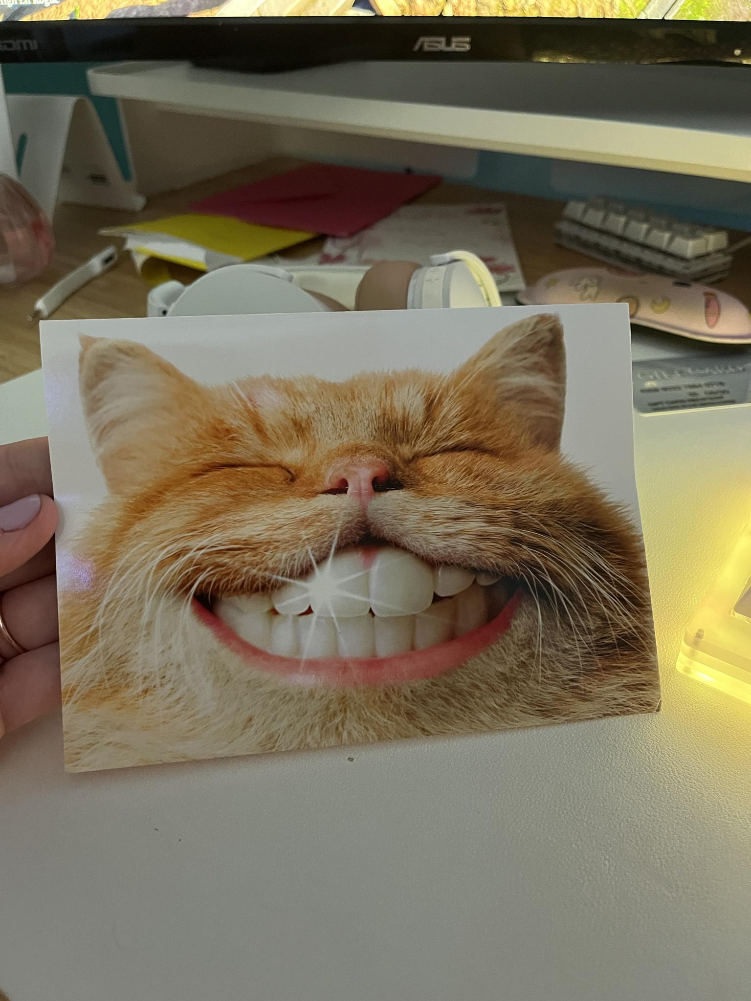 My grandmother despatched my cat a card