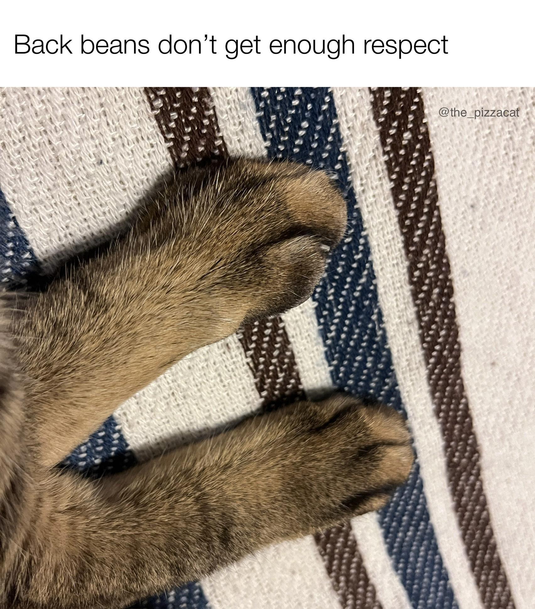 Appreciate abet beans