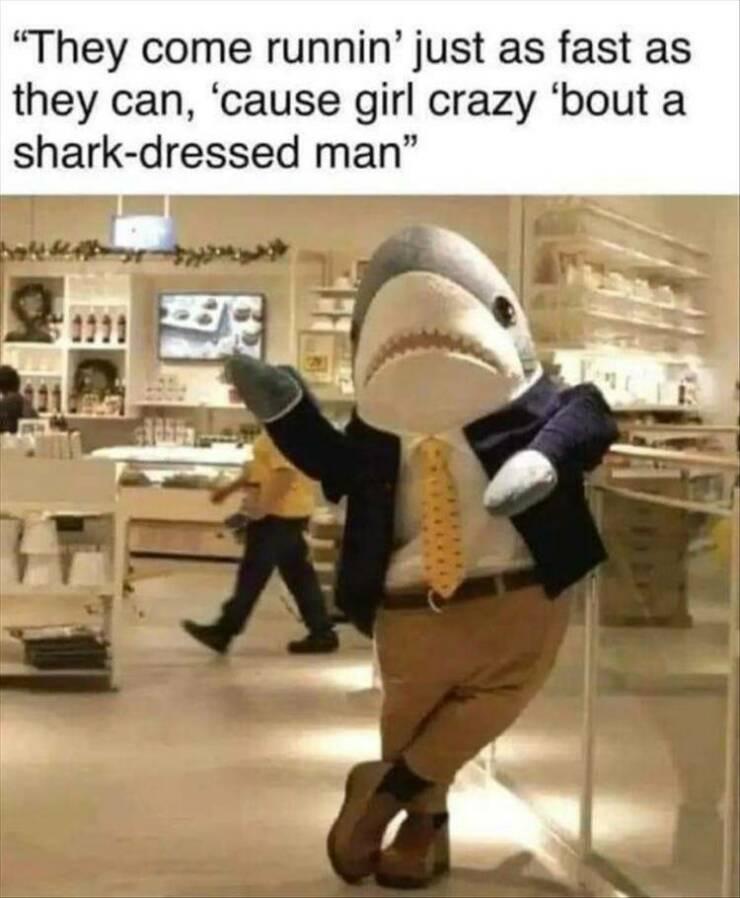 ZZ Shark