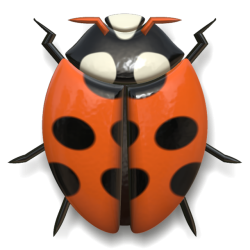 ladybug, animal, insect