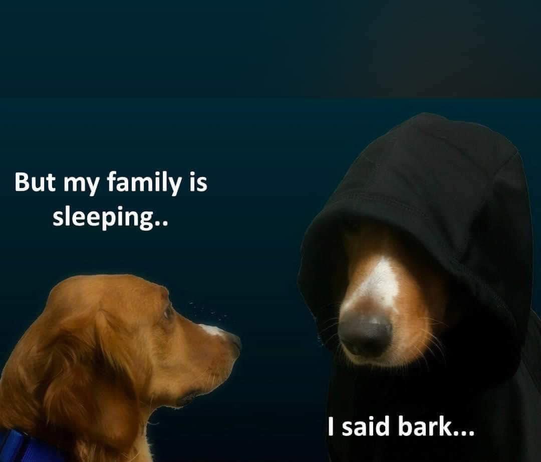 Sure, my dogs is subject to the Darkish Aspect