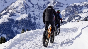 snow, mountain, fat bikes