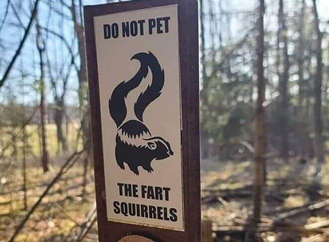 Fart squirrells are honest!