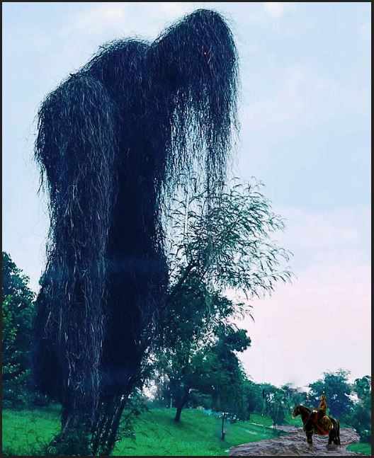 PsBattle: This tree in IslamabadBattle