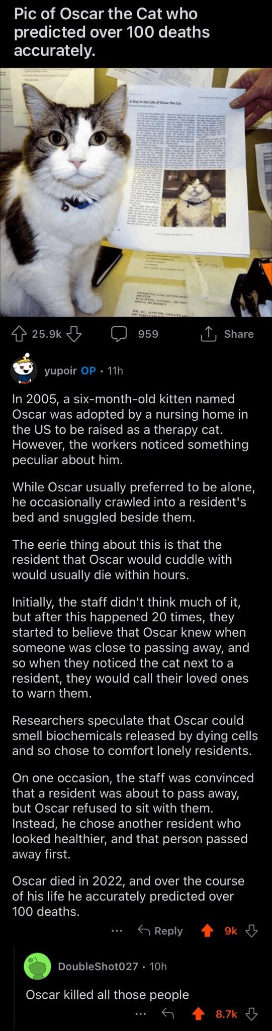 Oscar the cat