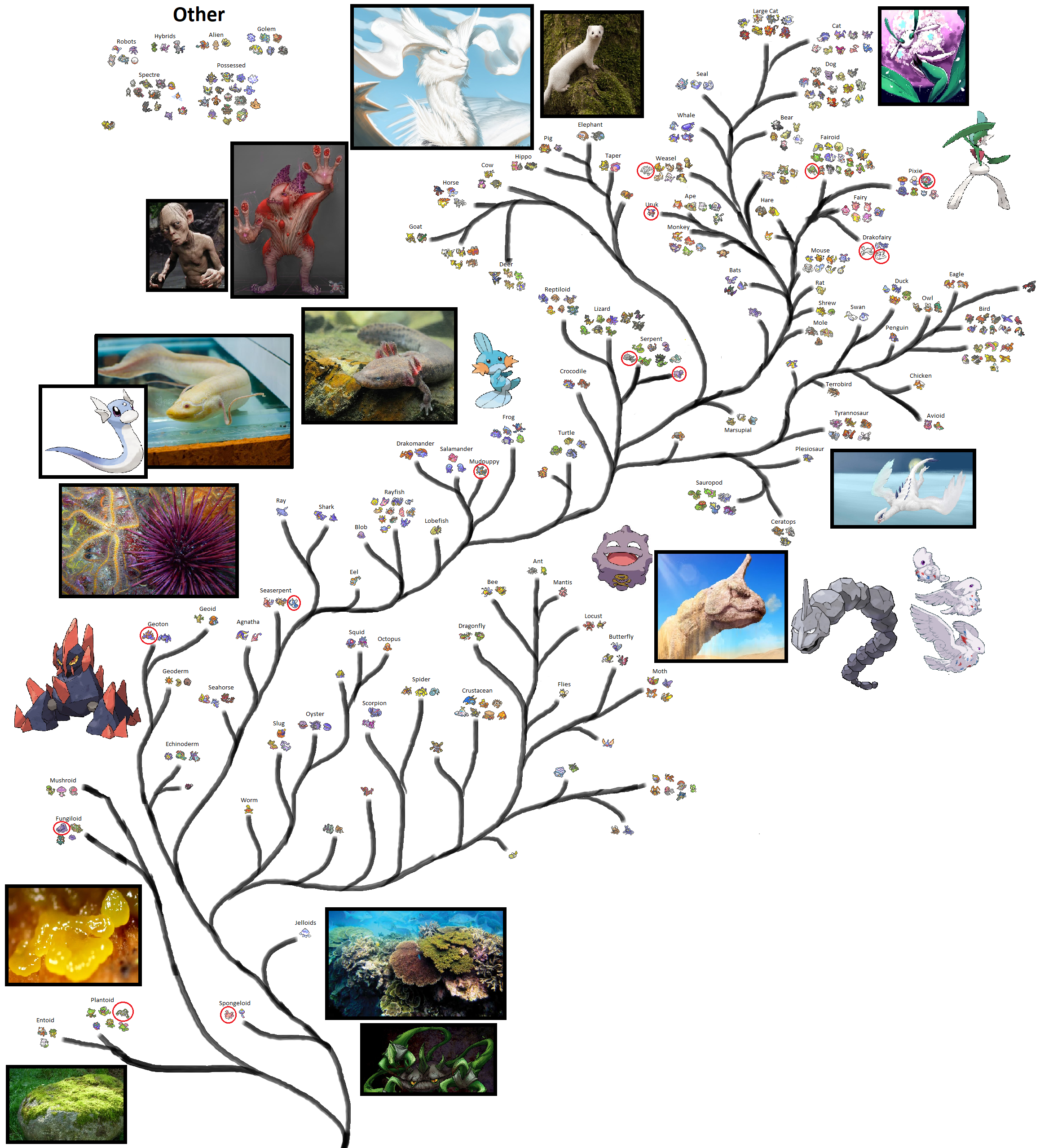 Life like Phylogenetic Tree of Pokemon