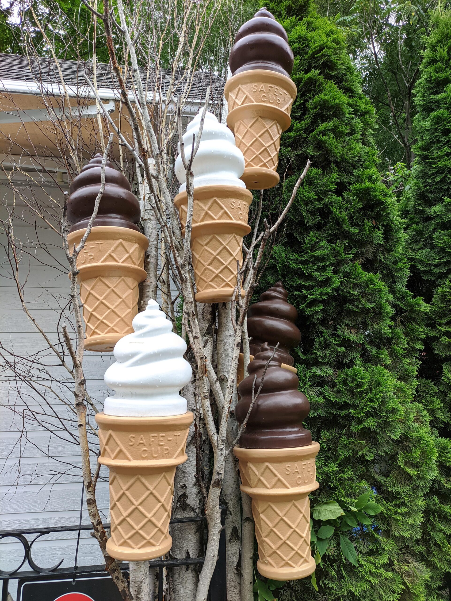 The rare ice cream tree