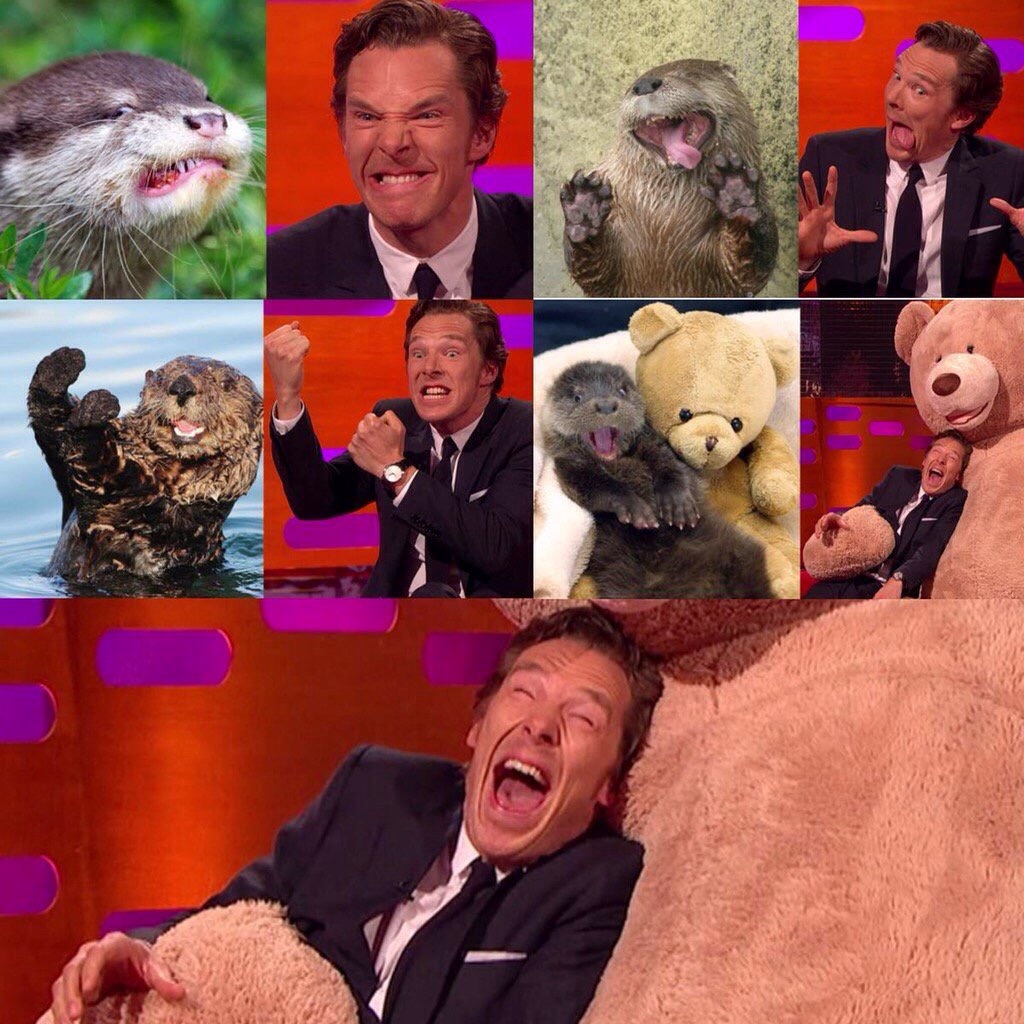 Benedict Cumberbatch posing love otters.