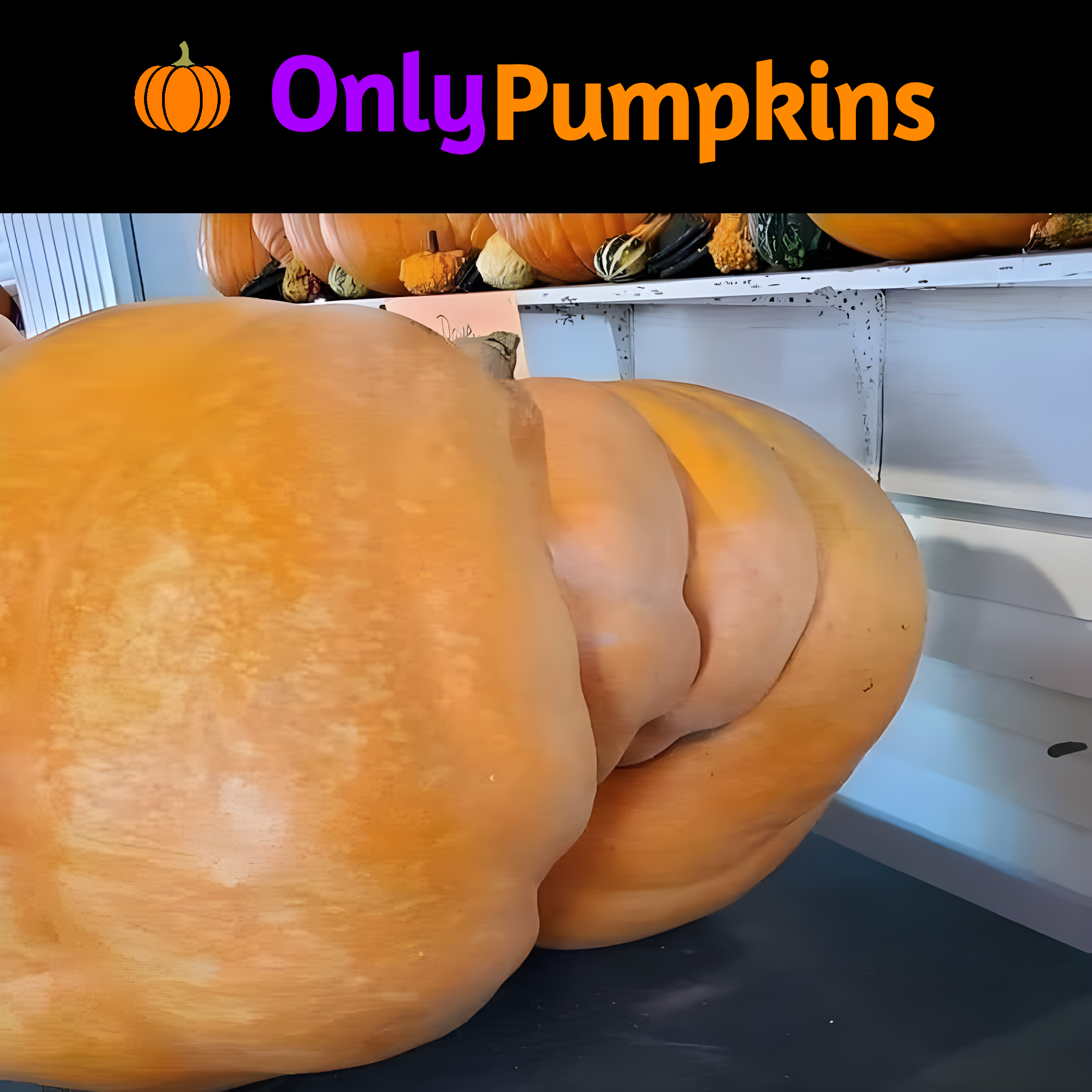? OnlyPumpkins