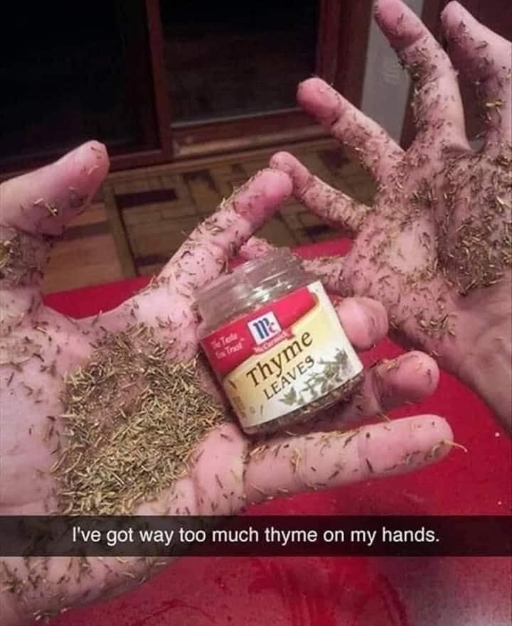 Thyme, thyme is a precious direct.
