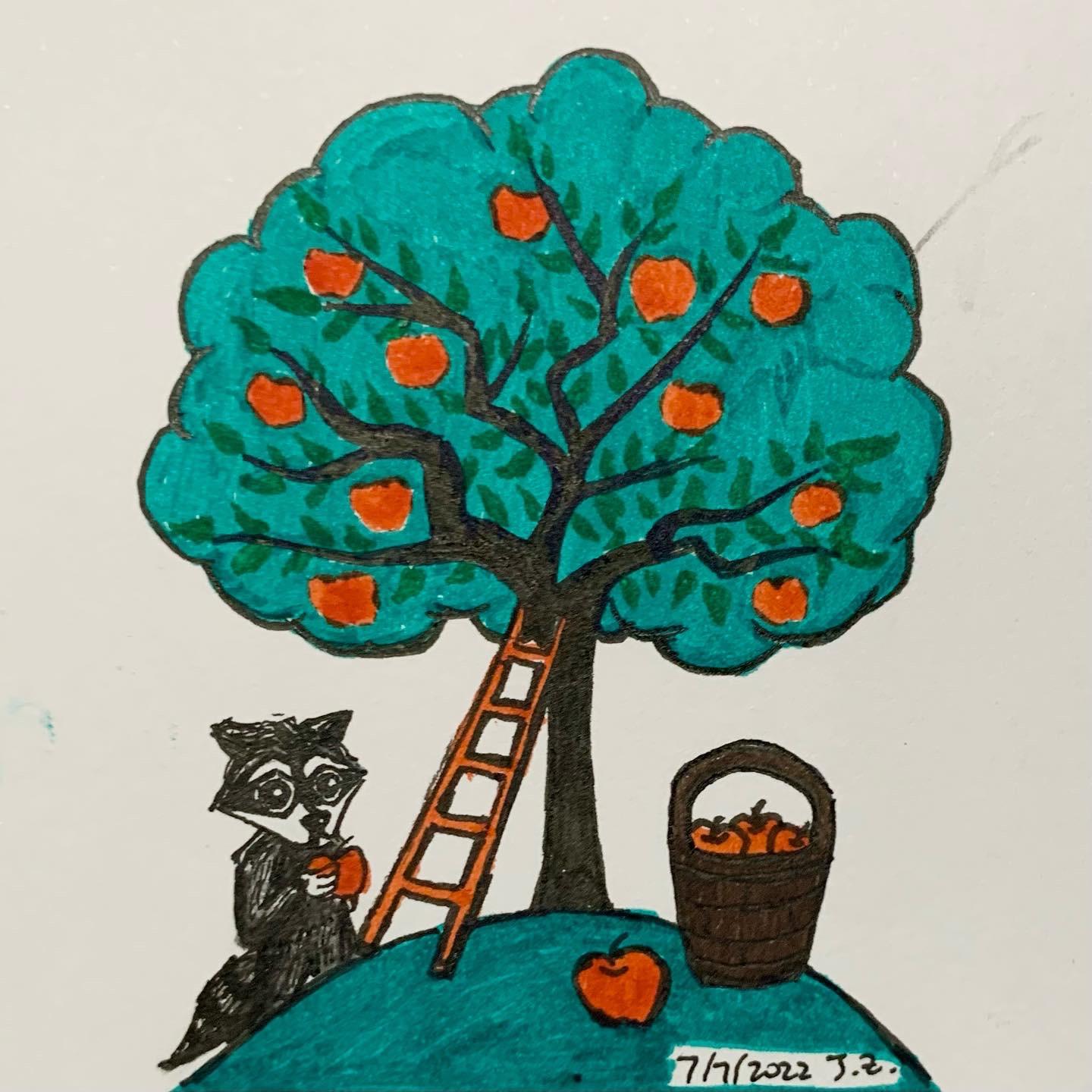 Raccoon picks original apples from apple orchard tree 7/7/2022 Sketchdaily
