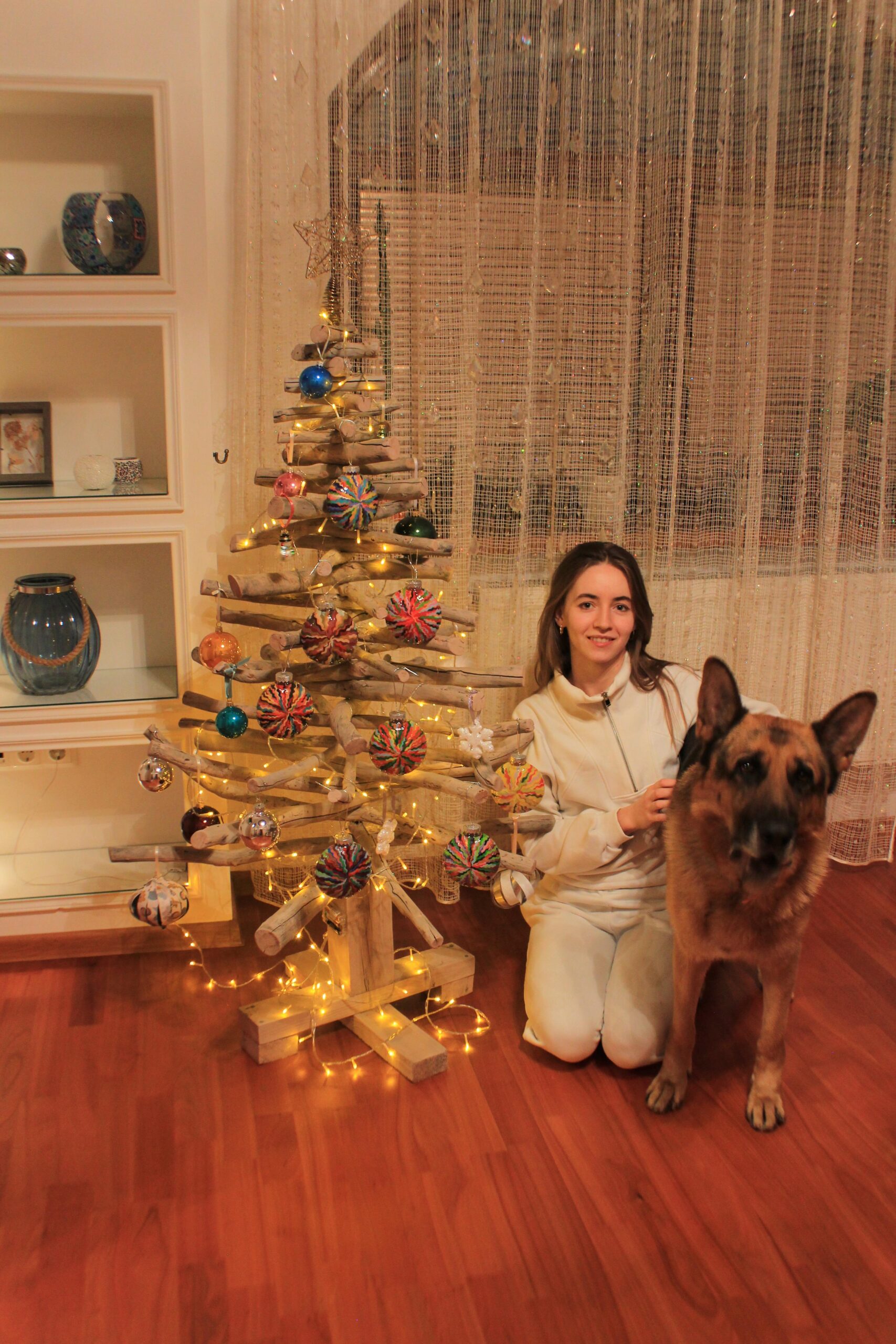 Christmas tree and my stunning dogs
