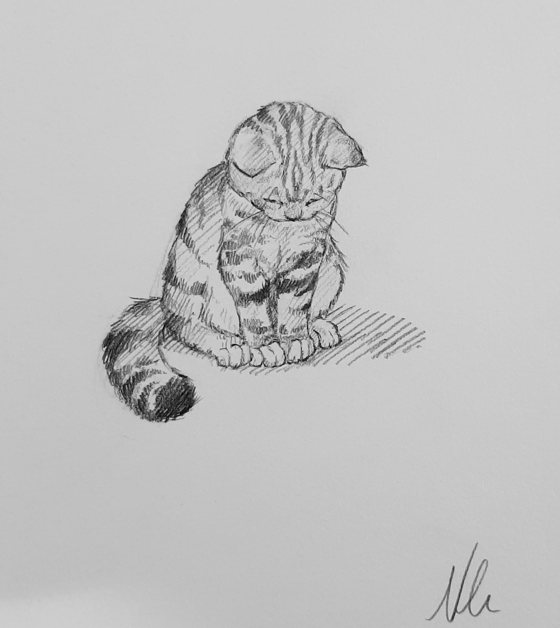 I drew a itsy-bitsy little bit of cat