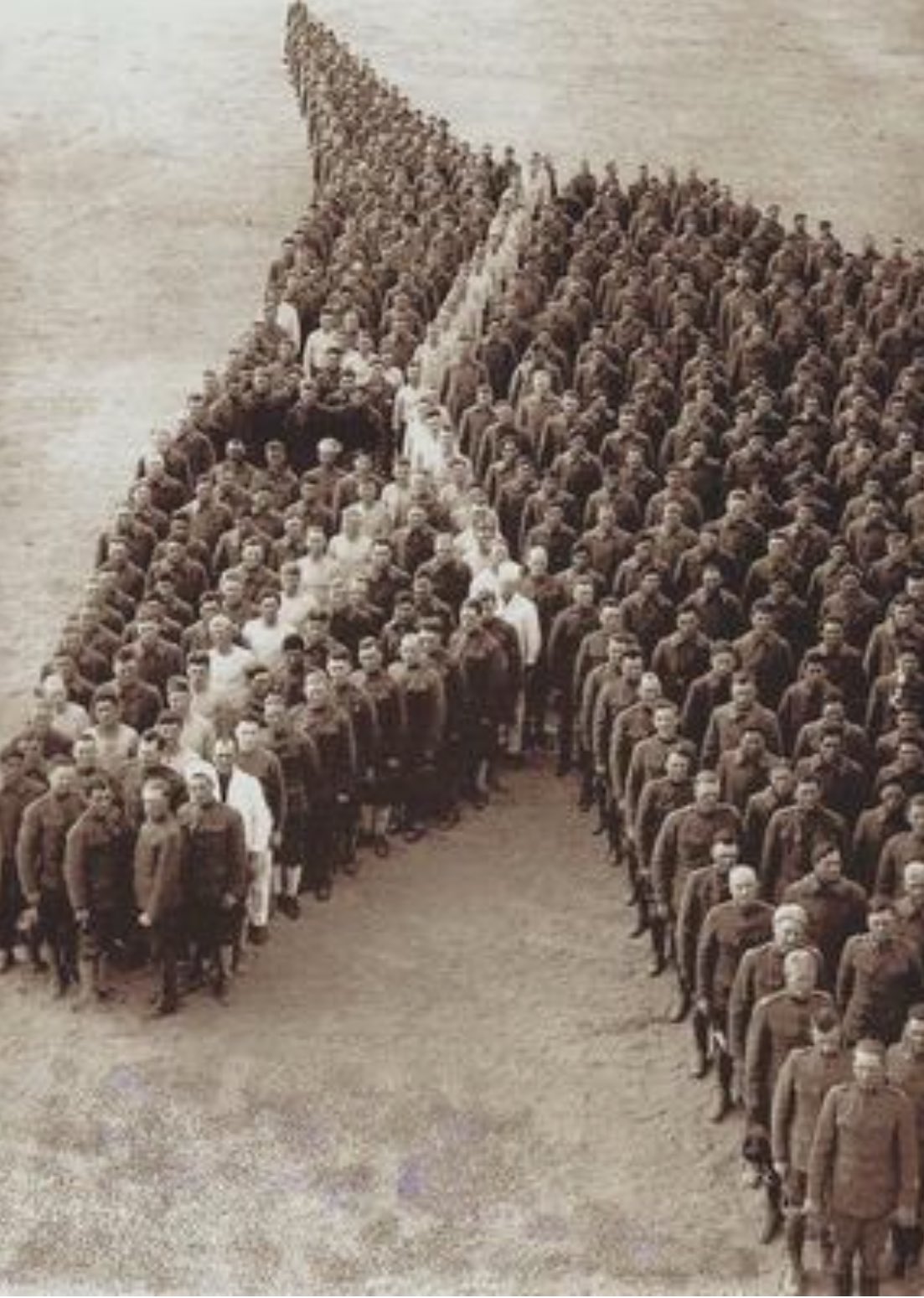 U.S. troopers pay tribute to the 8 million horses, donkeys and mules that misplaced their lives for the period of World War 1.
