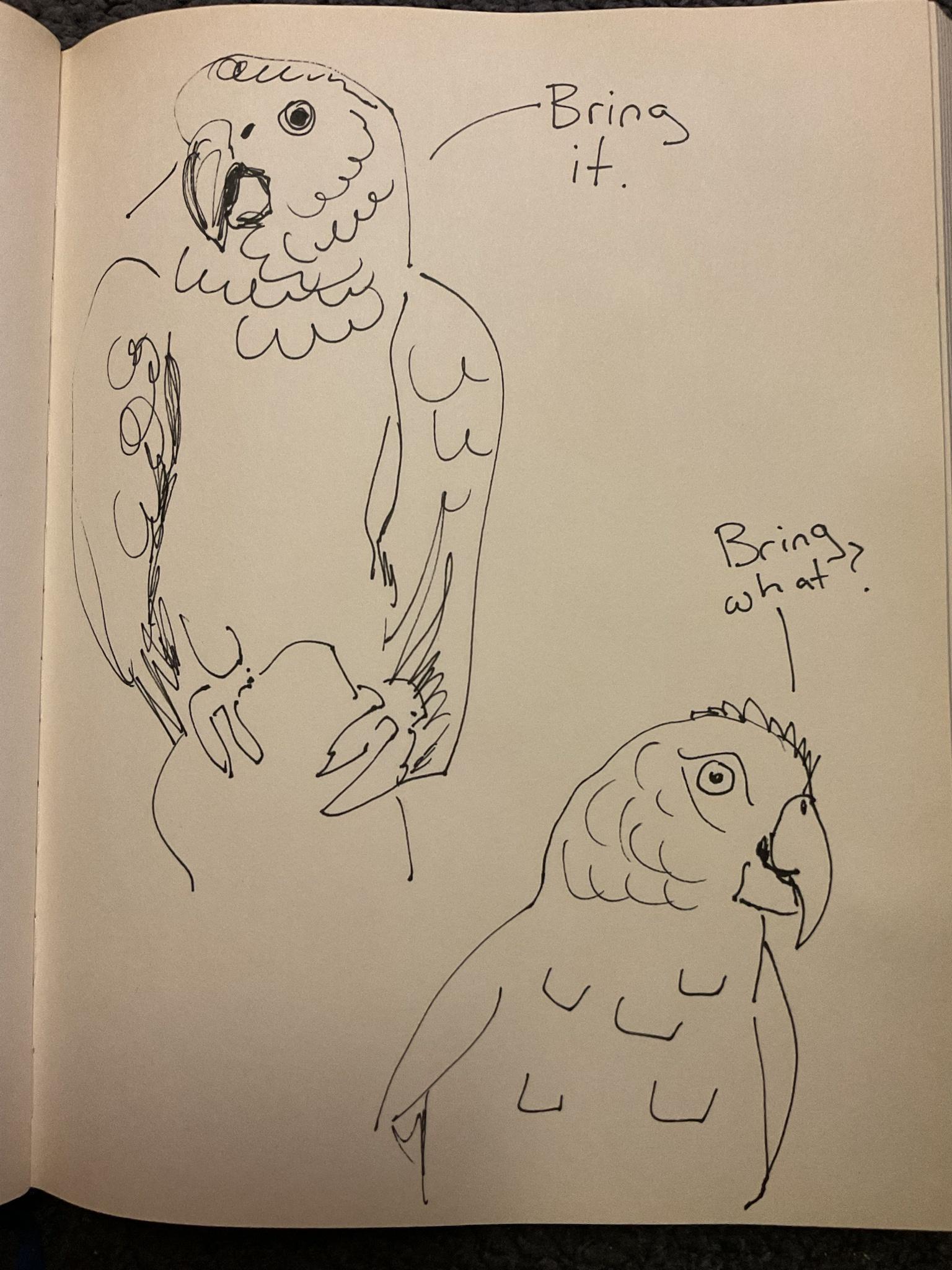 Silly Parrots, Share 1