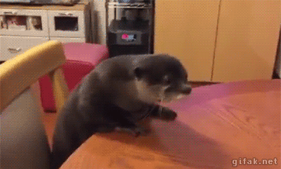 Not all otters are smooth and floaty