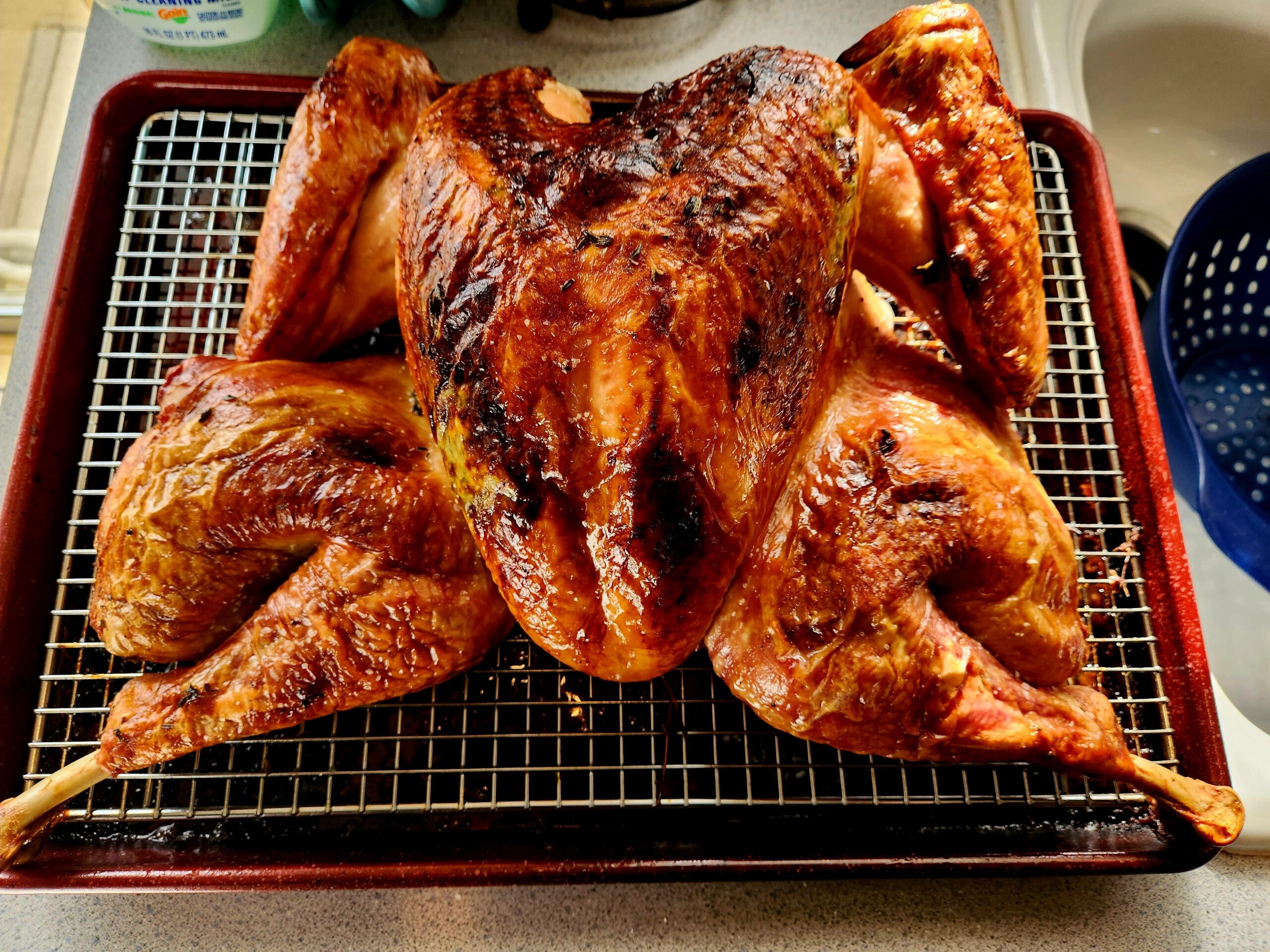 Spatchcocked Turkey Dry Brined and Covered in Herbed Butter – Such Crispy Pores and skin!