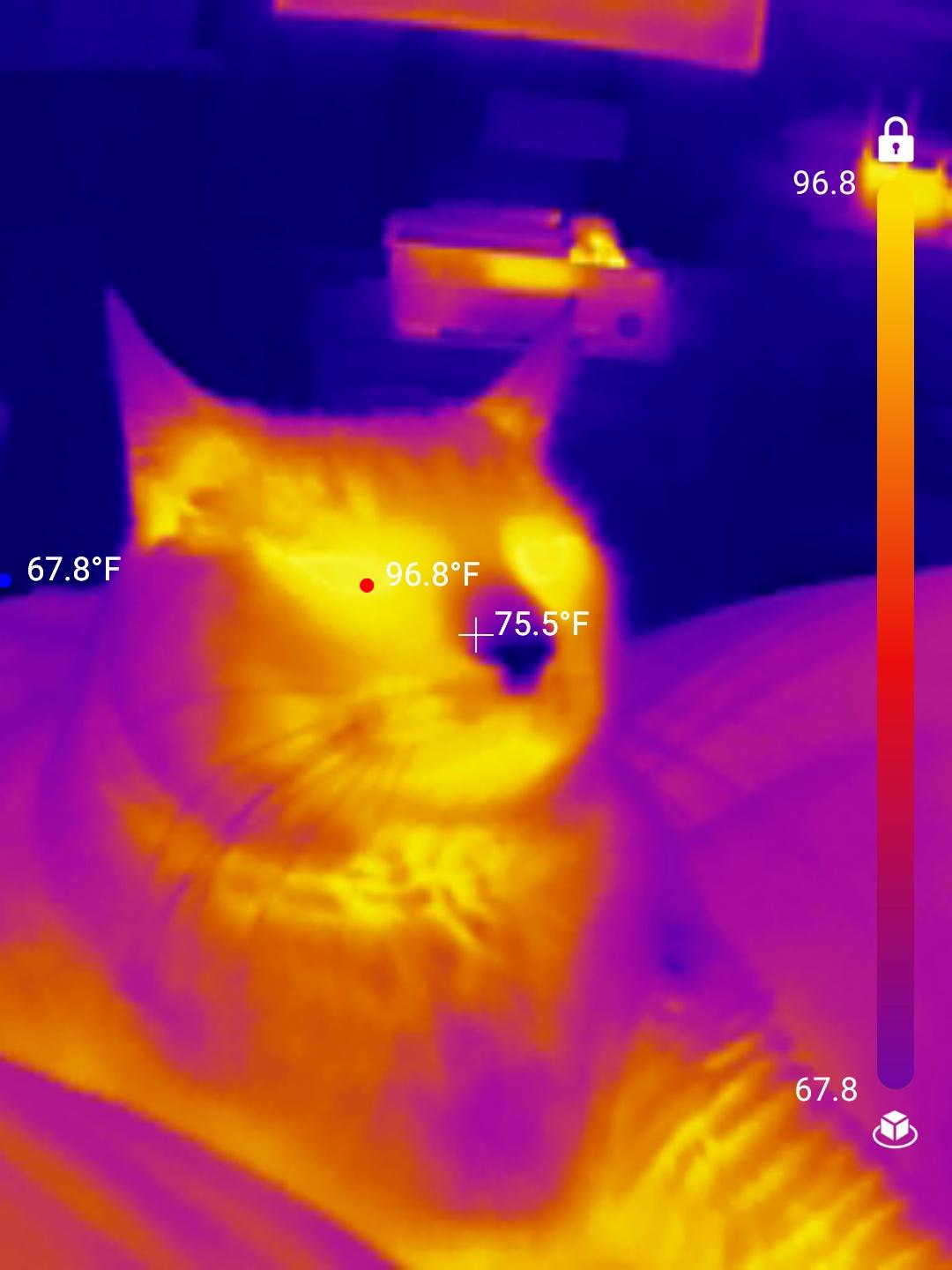 If you’re fiddling with a thermal camera and also you survey into hell.