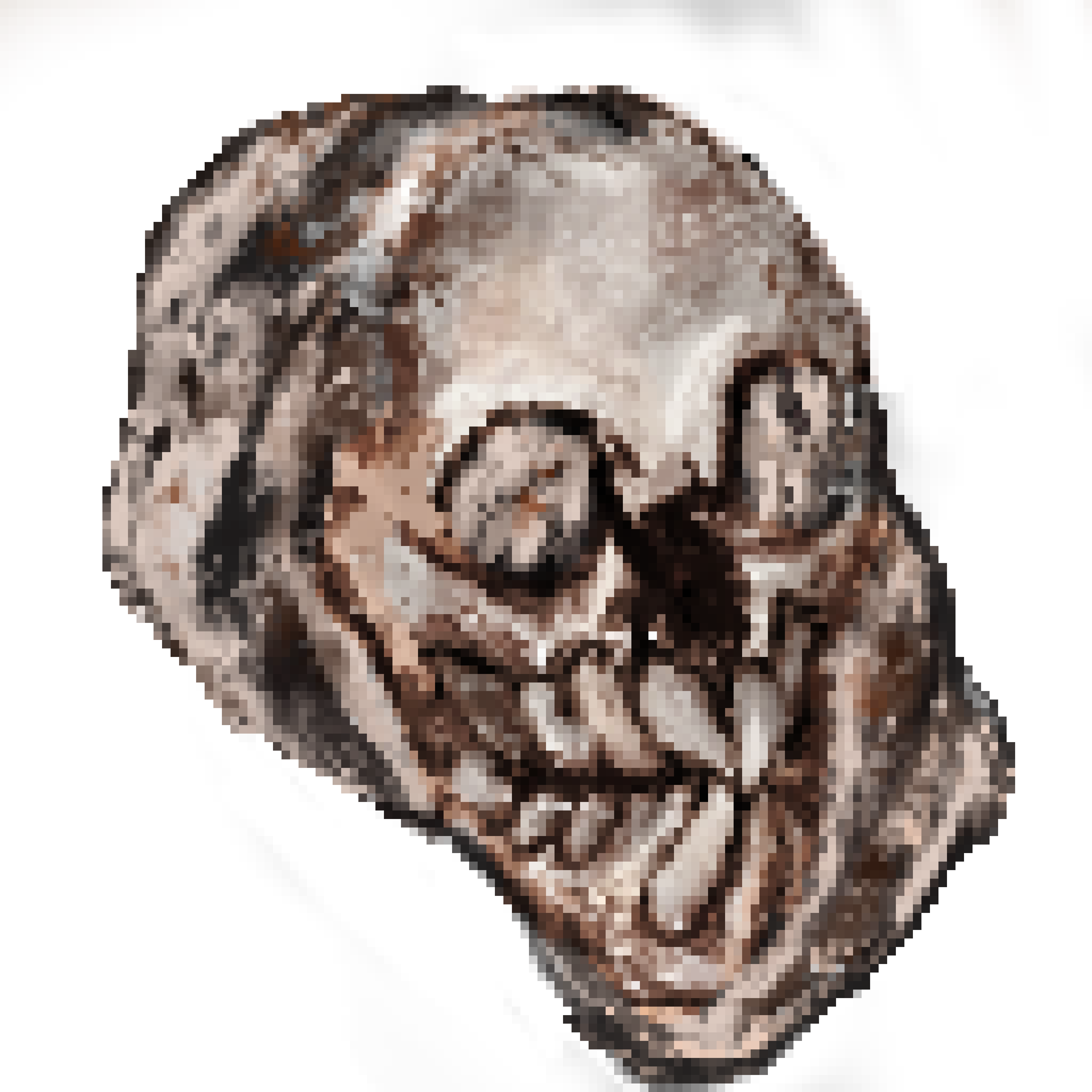Fossilized Mermaid Skull