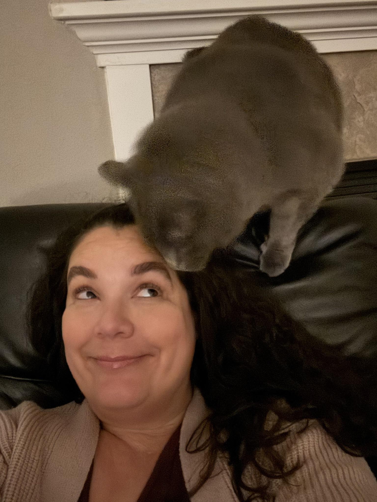 Selfie and cat tax in a single!
