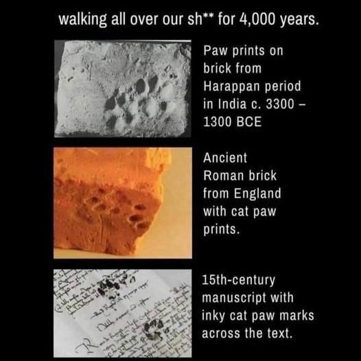 Immortal footprints