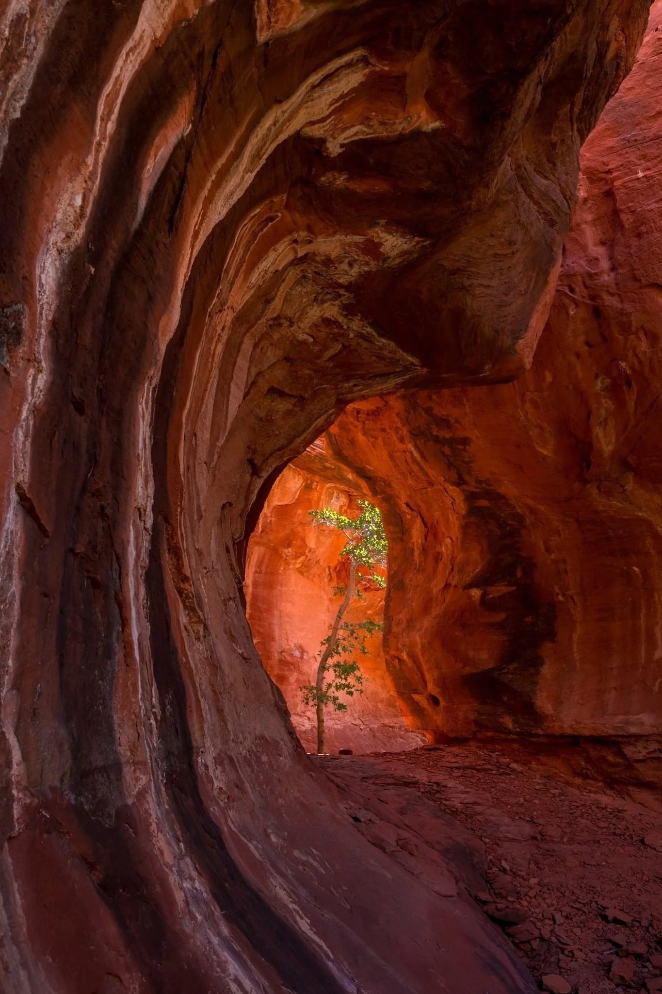 The Kachina Tree Cave recurrently is opinion because the – Lone Tree Cave -, Boynton Canyon, Arizona, USA.