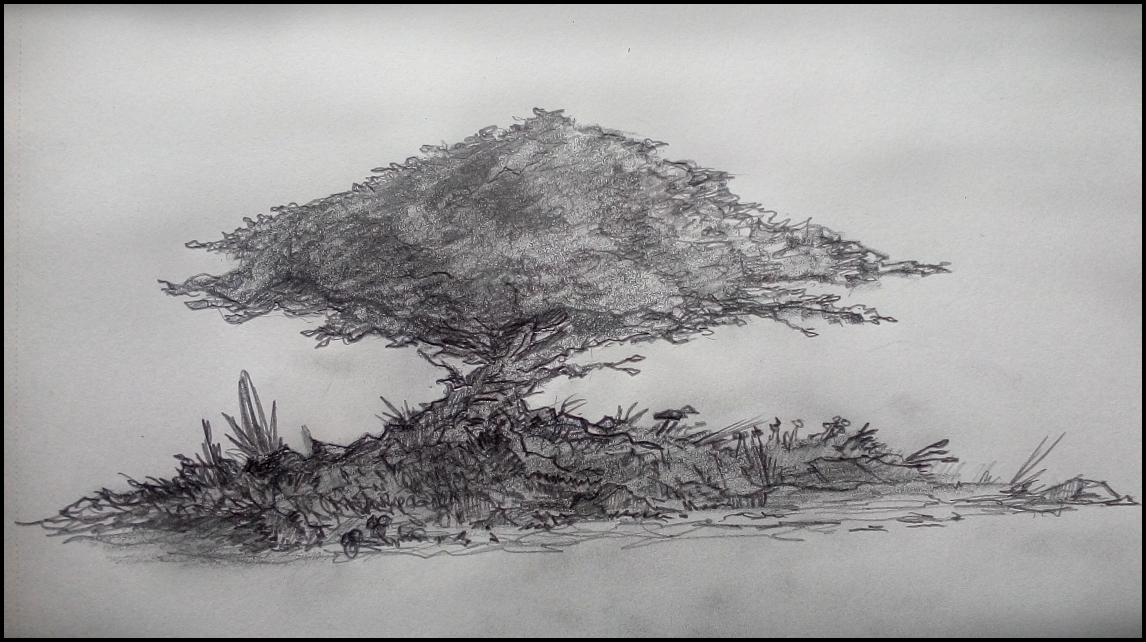 One more tree sketch
