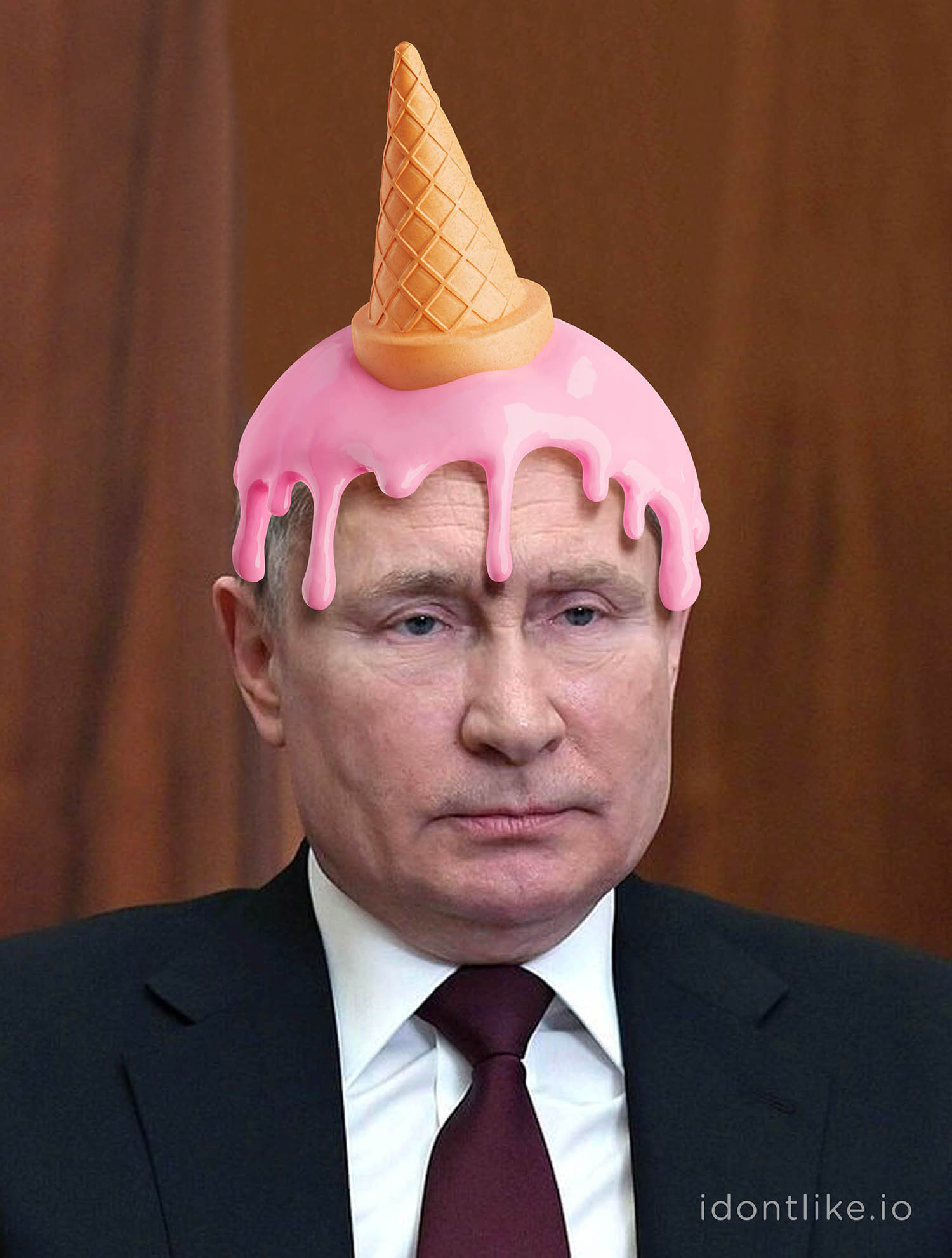 i dangle no longer luxuriate in Wladimir Putin
