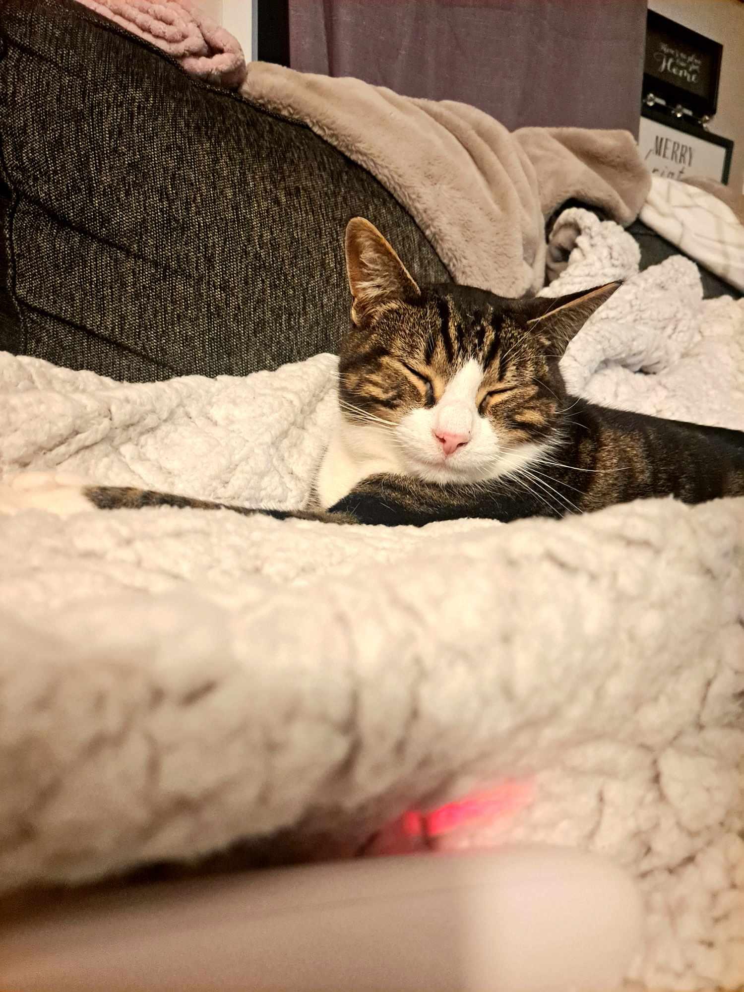 She loves her heated blanket