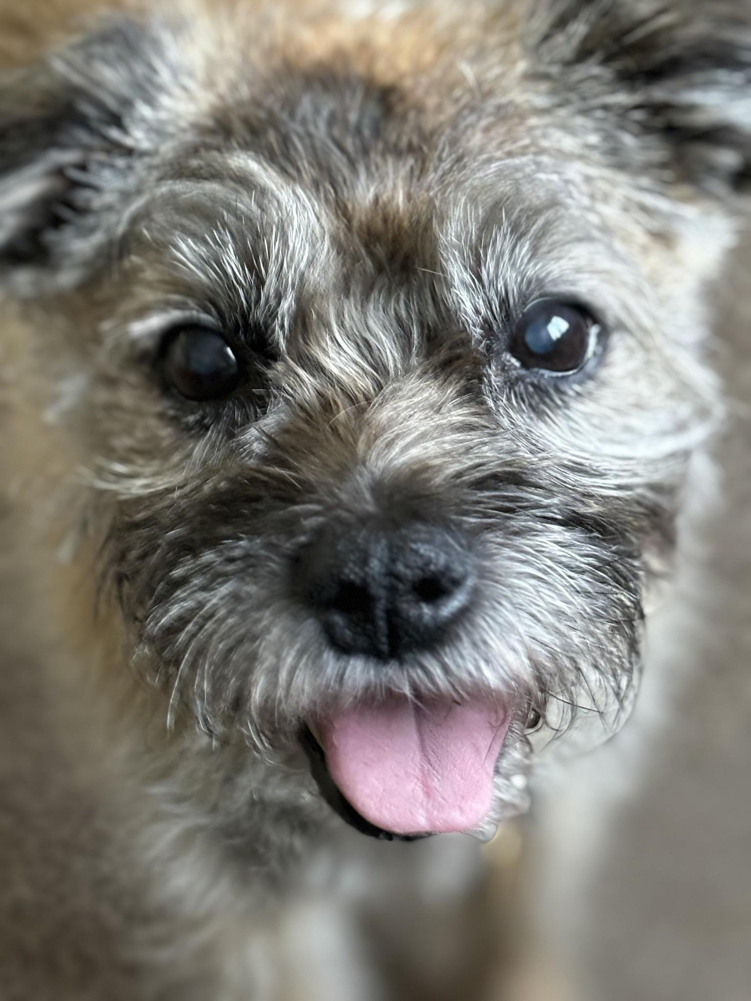 my 12 year former BT feeling much better this day