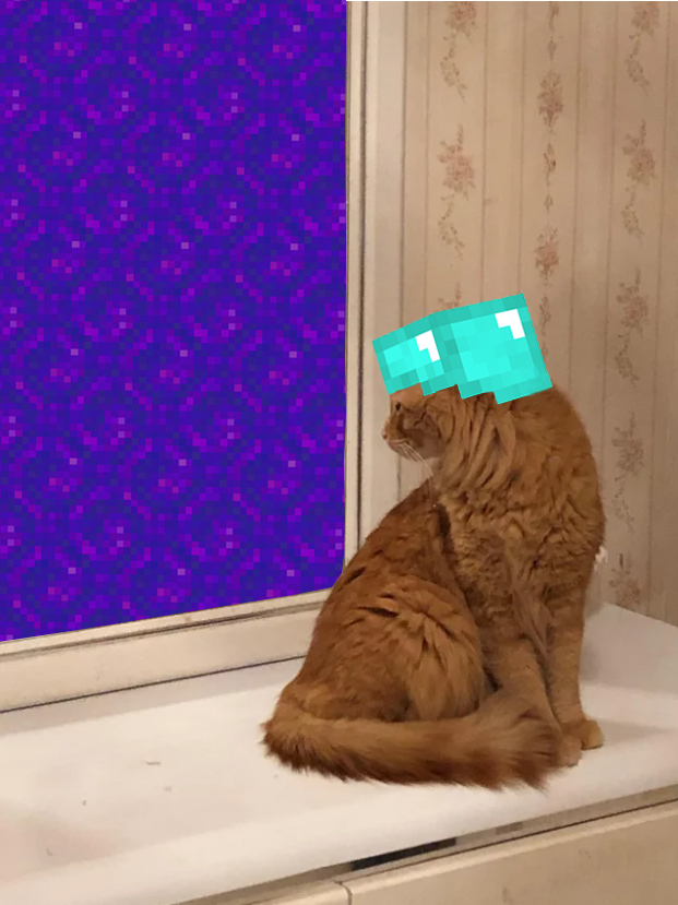 Nether cat
