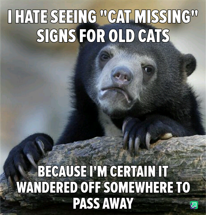 Or no longer it is continuously a bummer to spy “pet lacking” signs