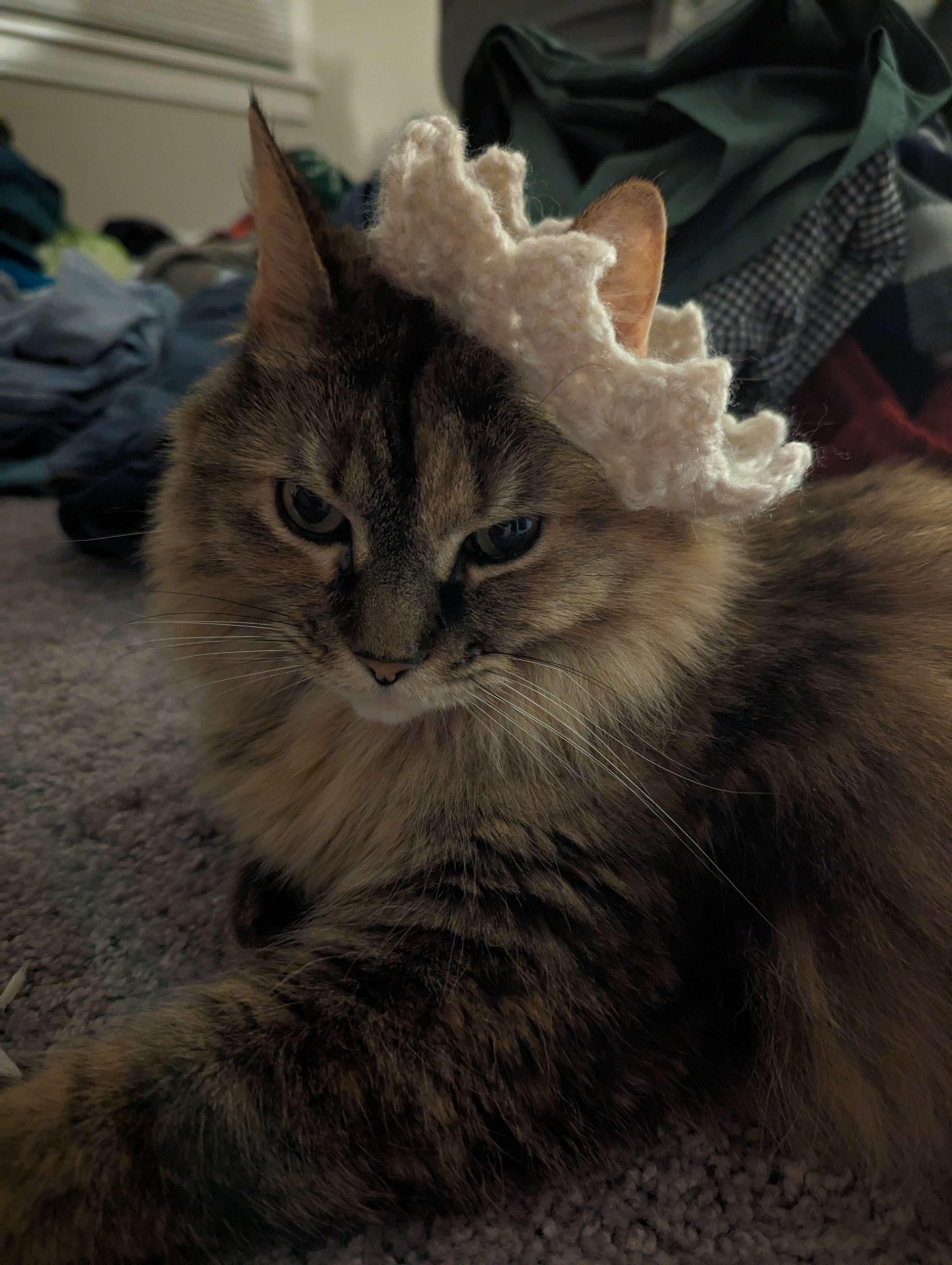Cat crown made by me