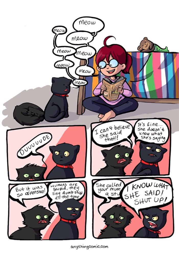 The human tries to talk Cat