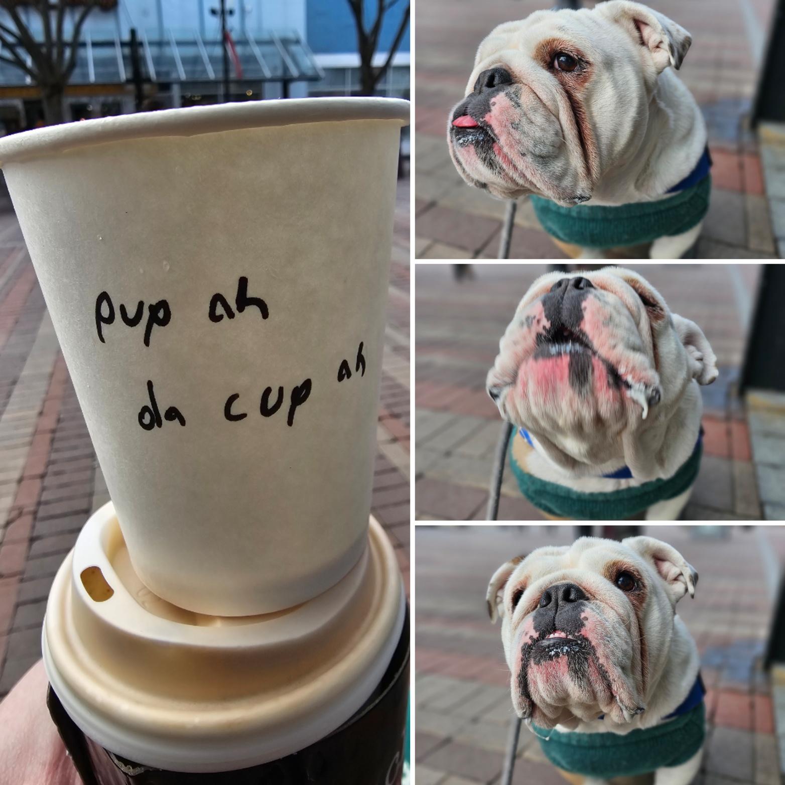 Watson’s Pup-ah-Da-Cup-ah