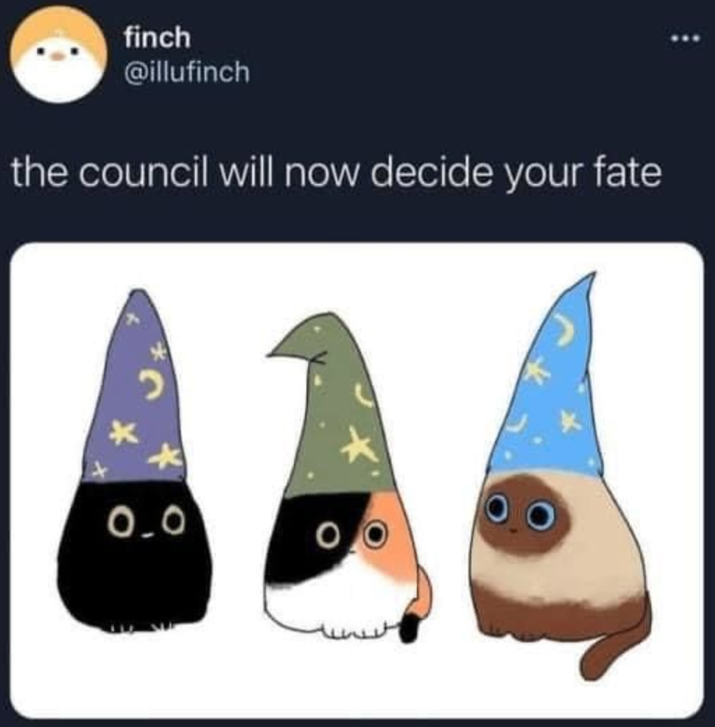 Cute Kitty Council .. new comfy response meme
