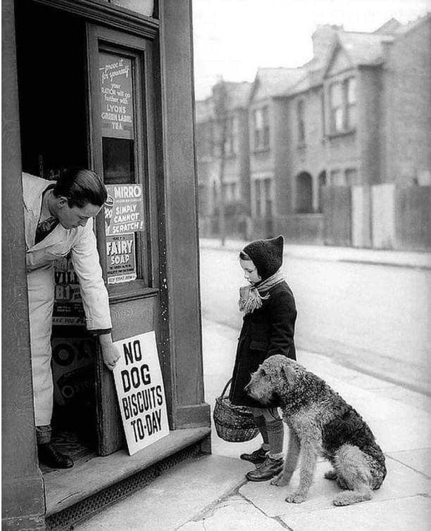 No dog biscuits as we sigh time. London (1939)