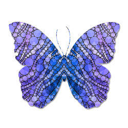 butterfly, animal print, pattern