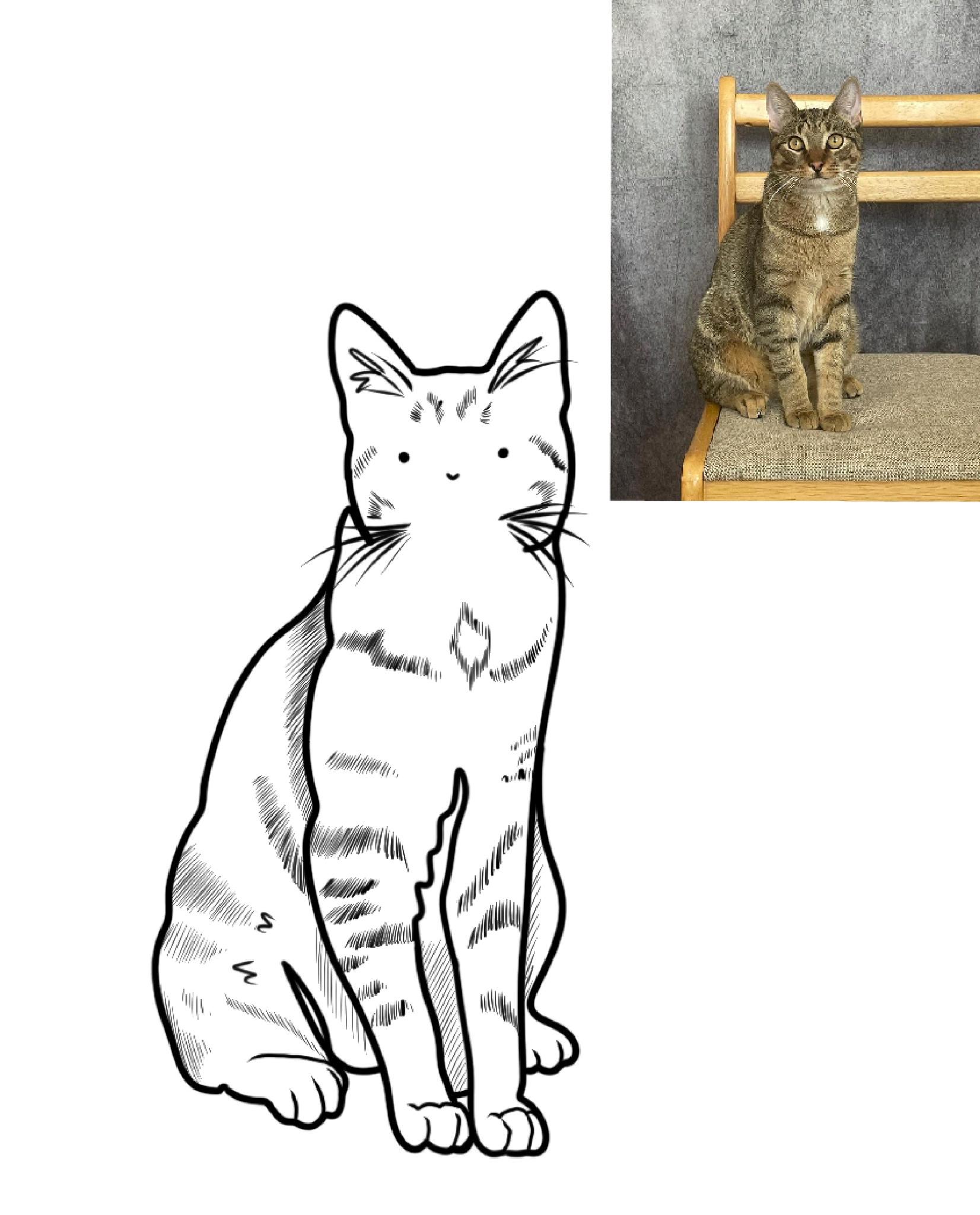 Cat pet portrait