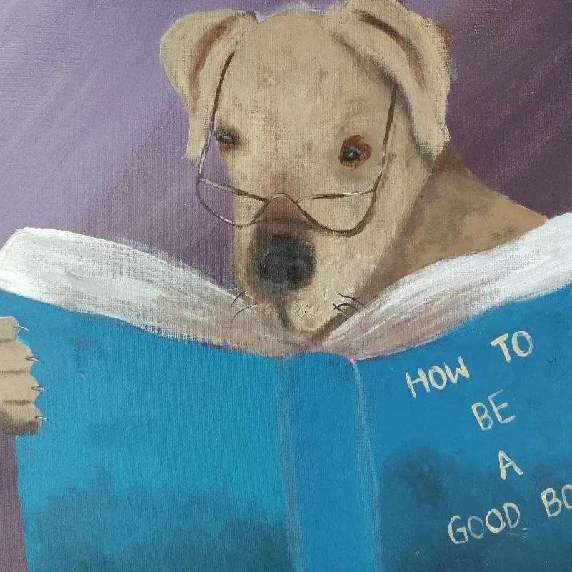 Dog studying a book
