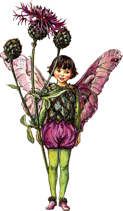fairy png